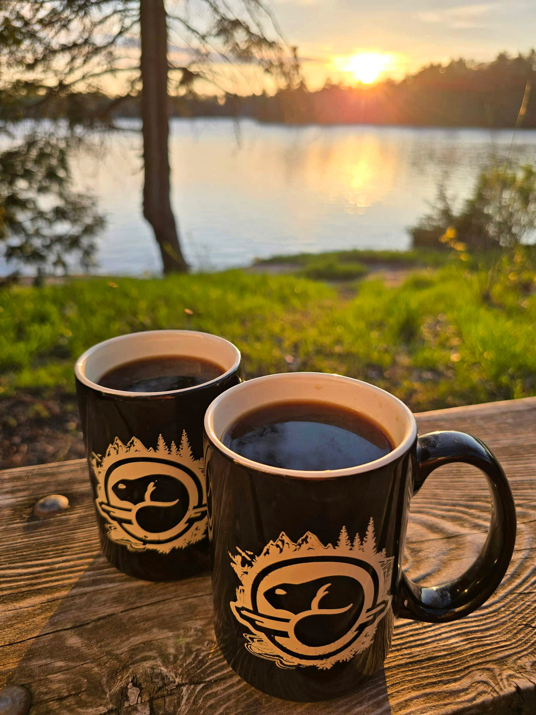 Why Camping in Your 40s Is Better Than Ever